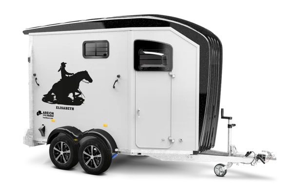 Areion-Pro-2700-Western